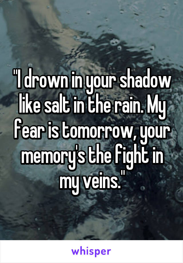 "I drown in your shadow like salt in the rain. My fear is tomorrow, your memory's the fight in my veins."