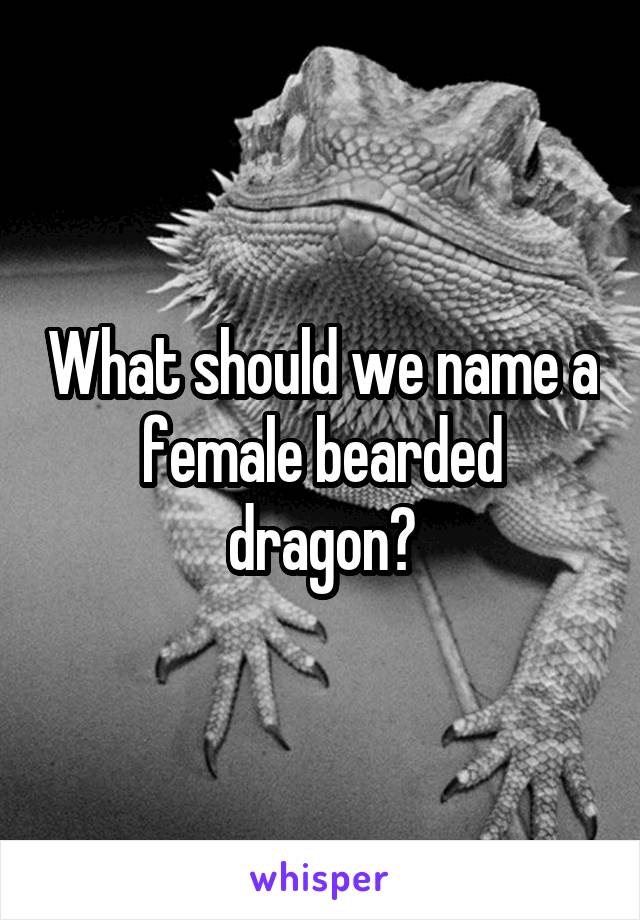 What should we name a female bearded dragon?