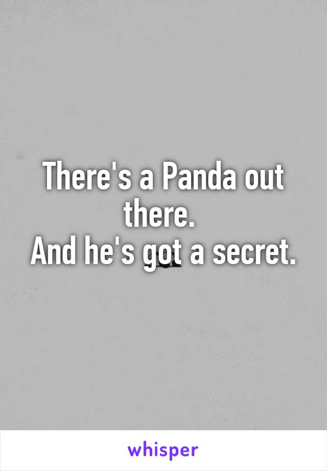 There's a Panda out there. 
And he's got a secret. 