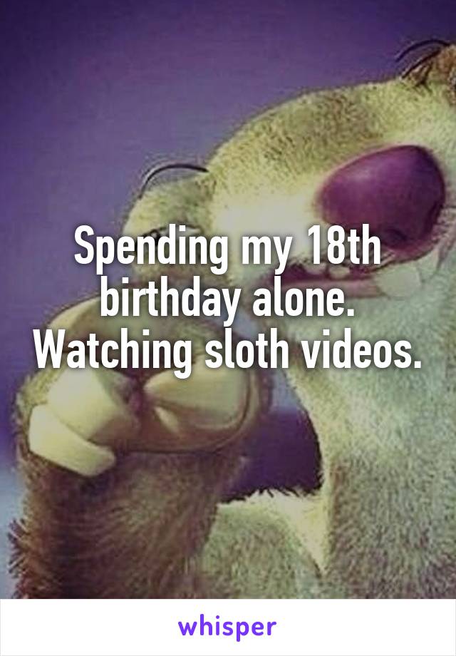 Spending my 18th birthday alone. Watching sloth videos. 