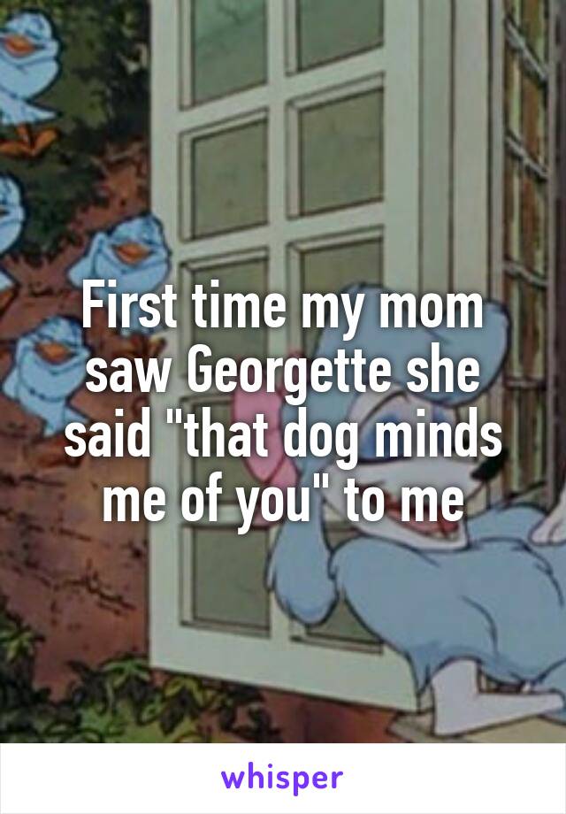 First time my mom saw Georgette she said "that dog minds me of you" to me