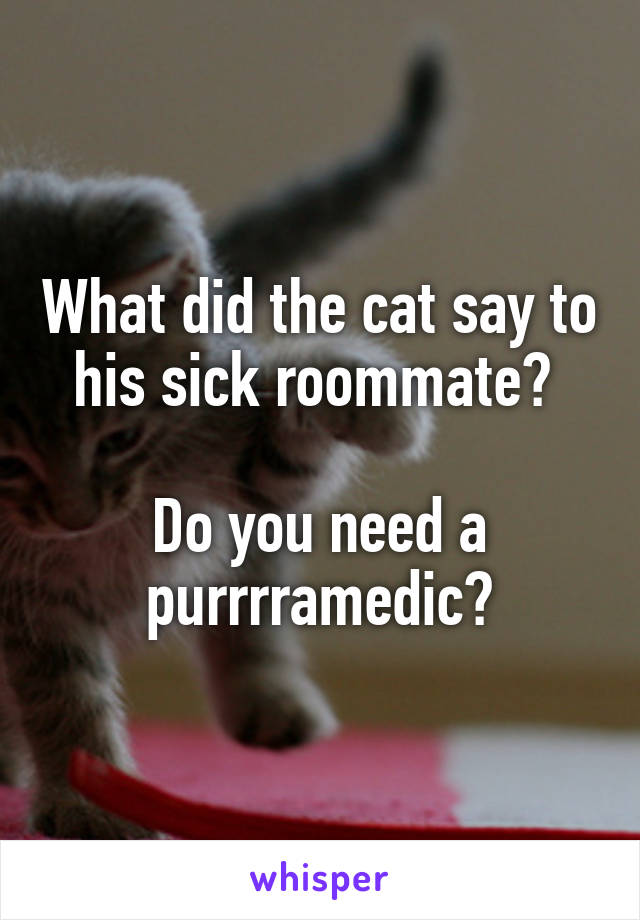 What did the cat say to his sick roommate? 

Do you need a purrrramedic?