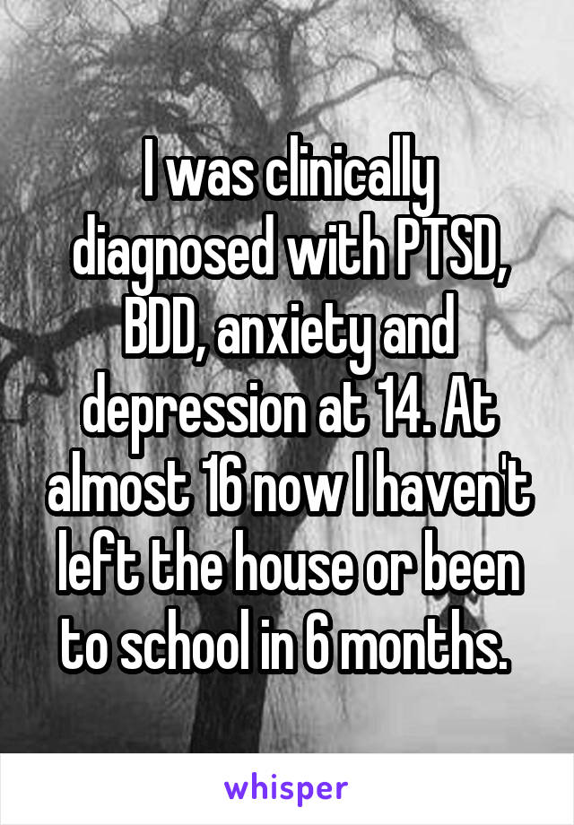 I was clinically diagnosed with PTSD, BDD, anxiety and depression at 14. At almost 16 now I haven't left the house or been to school in 6 months. 