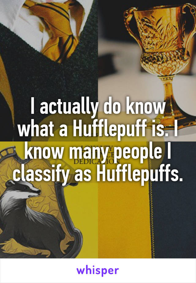 I actually do know what a Hufflepuff is. I know many people I classify as Hufflepuffs.