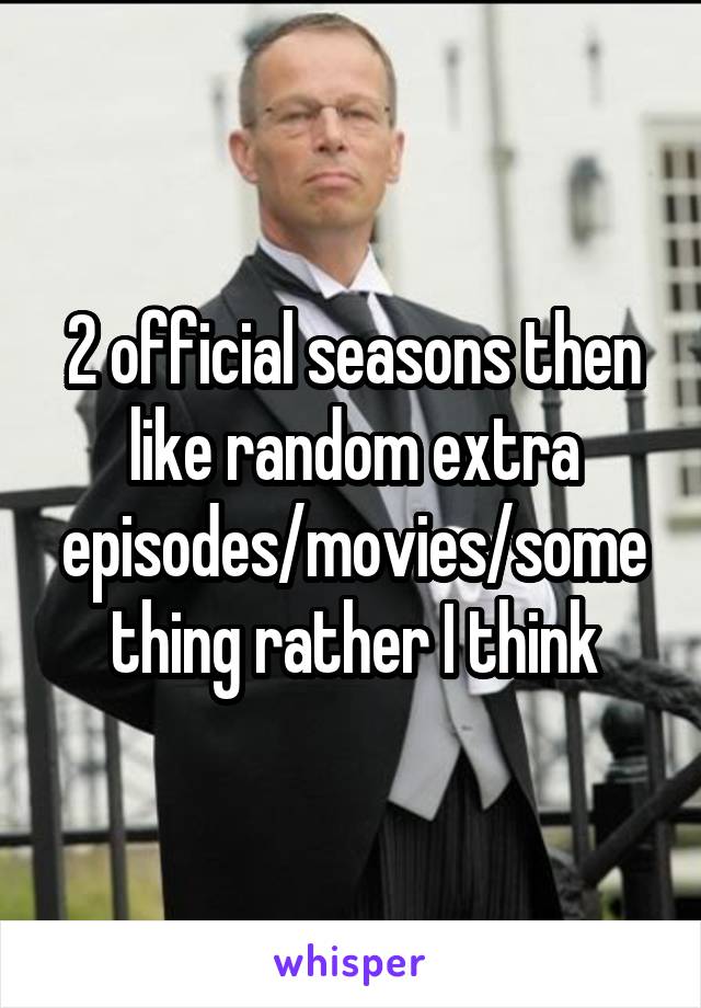 2 official seasons then like random extra episodes/movies/something rather I think