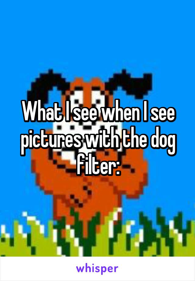 What I see when I see pictures with the dog filter: