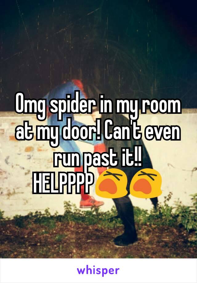 Omg spider in my room at my door! Can't even run past it!! HELPPPP😵😵