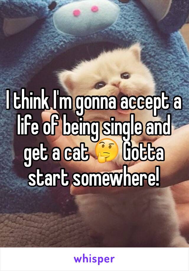 I think I'm gonna accept a life of being single and get a cat 🤔 Gotta start somewhere!