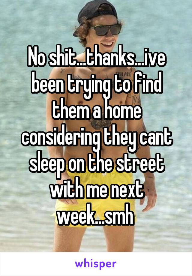 No shit...thanks...ive been trying to find them a home considering they cant sleep on the street with me next week...smh 