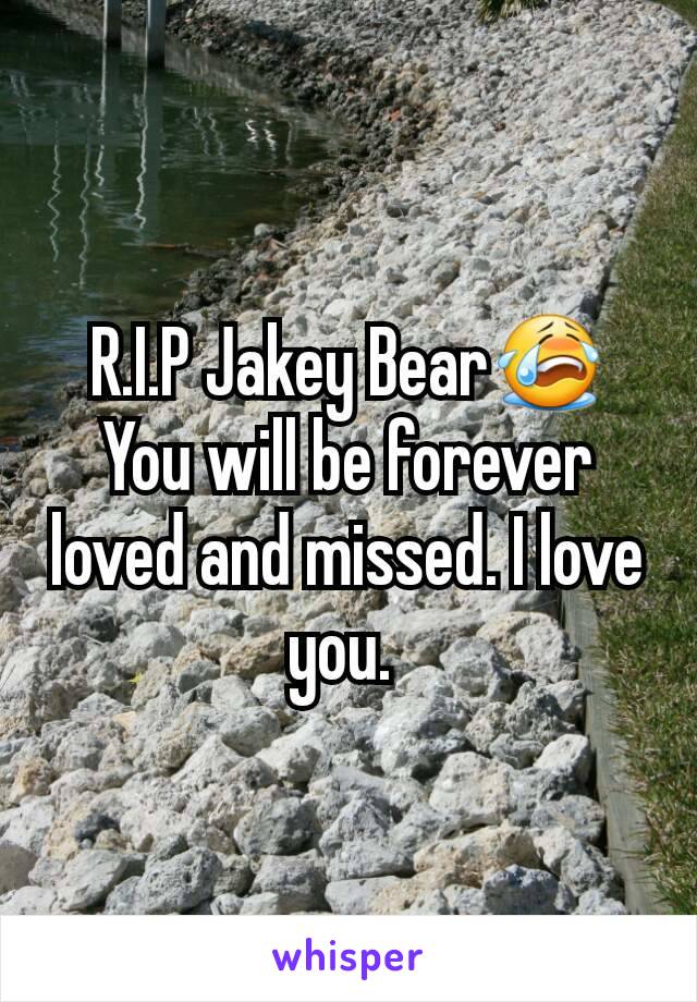 R.I.P Jakey Bear😭 You will be forever loved and missed. I love you. 