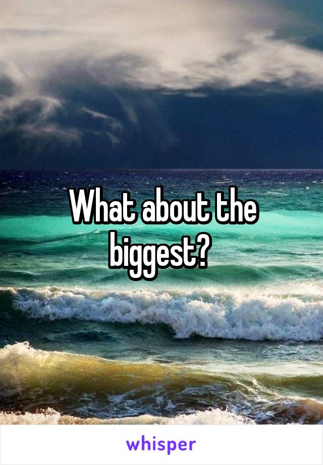 What about the biggest? 