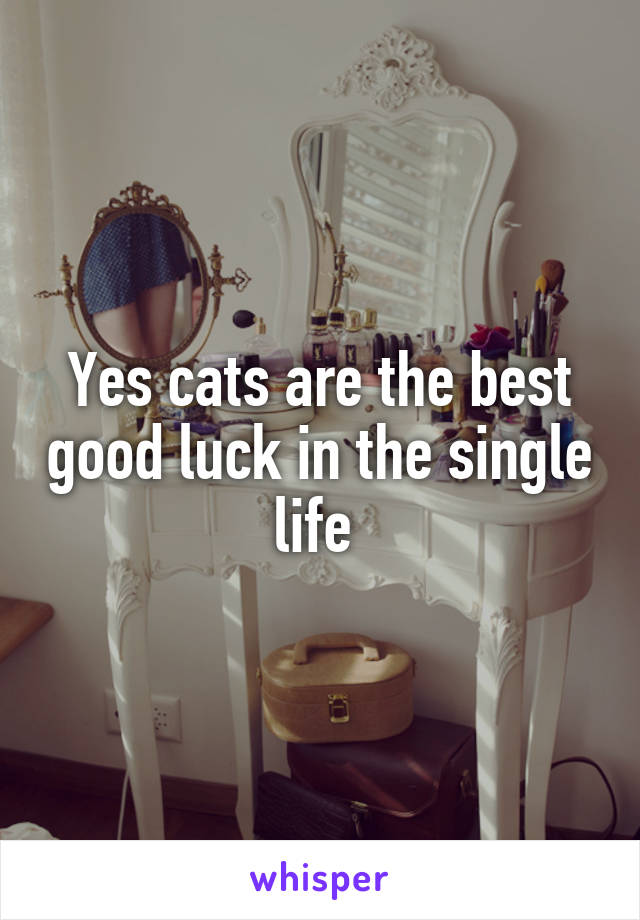 Yes cats are the best good luck in the single life 