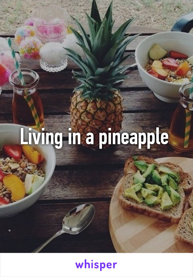 Living in a pineapple 