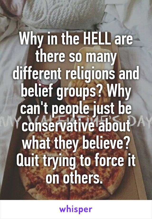 Why in the HELL are there so many different religions and belief groups? Why can't people just be conservative about what they believe? Quit trying to force it on others. 