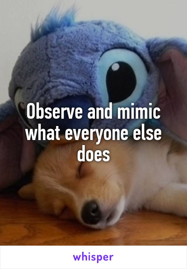 Observe and mimic what everyone else does