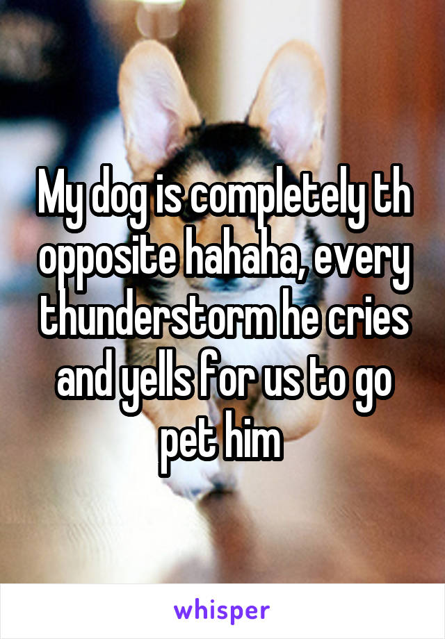 My dog is completely th opposite hahaha, every thunderstorm he cries and yells for us to go pet him 