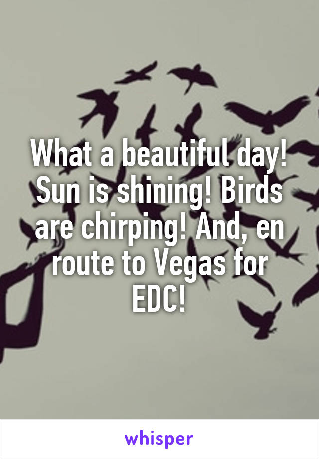 What a beautiful day! Sun is shining! Birds are chirping! And, en route to Vegas for EDC!