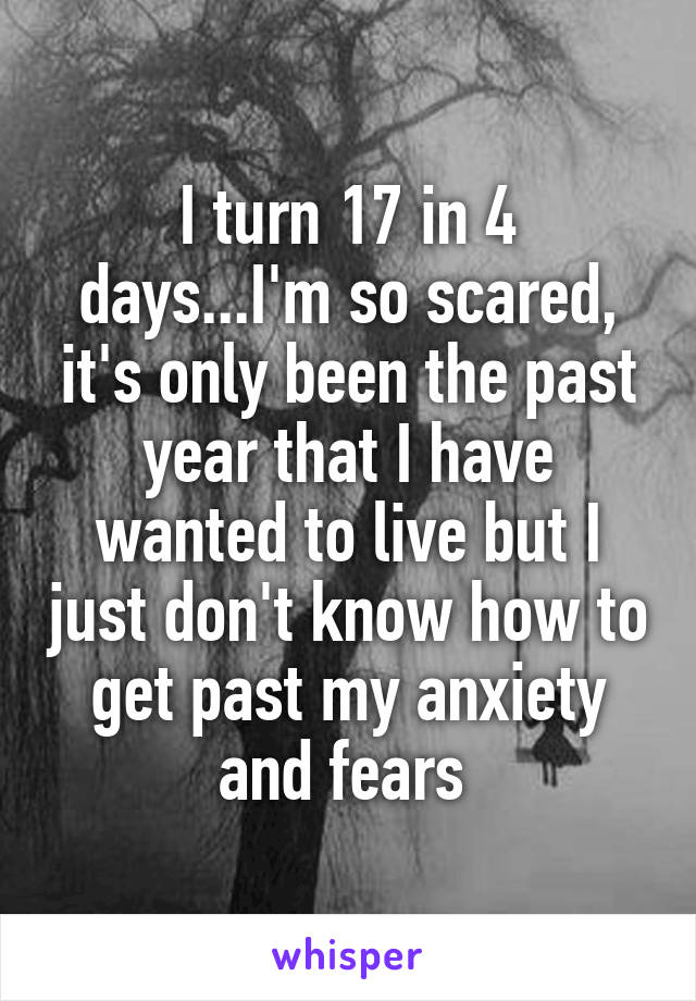 I turn 17 in 4 days...I'm so scared, it's only been the past year that I have wanted to live but I just don't know how to get past my anxiety and fears 