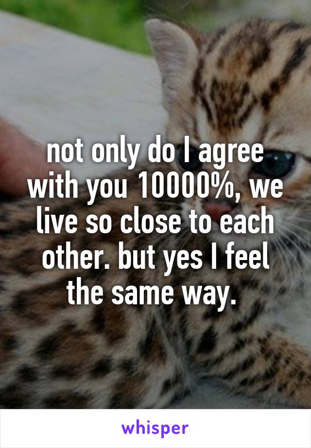 not only do I agree with you 10000%, we live so close to each other. but yes I feel the same way. 