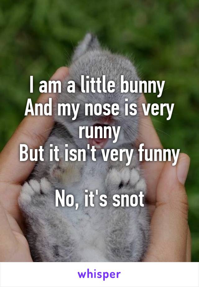 I am a little bunny 
And my nose is very runny
But it isn't very funny 
No, it's snot