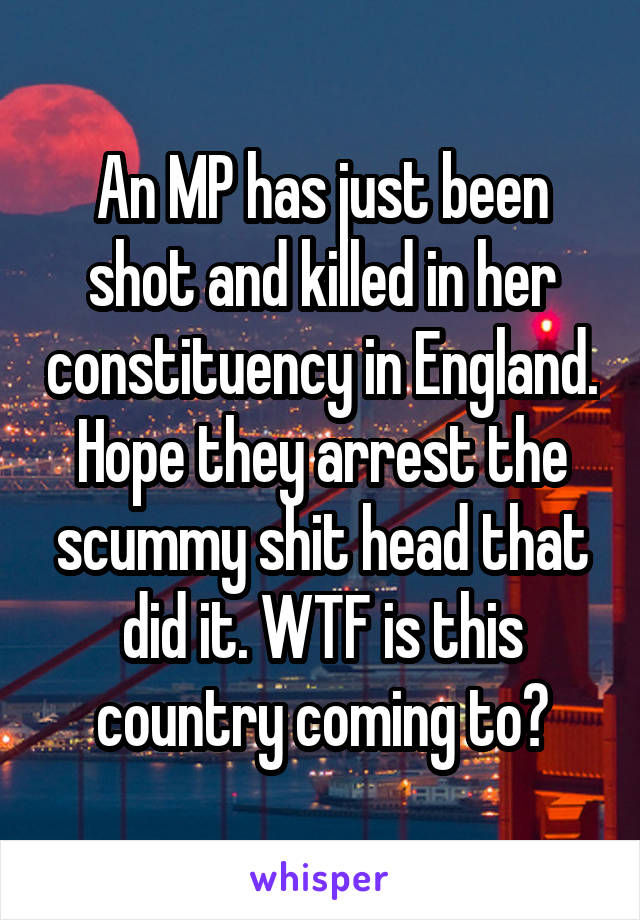 An MP has just been shot and killed in her constituency in England. Hope they arrest the scummy shit head that did it. WTF is this country coming to?