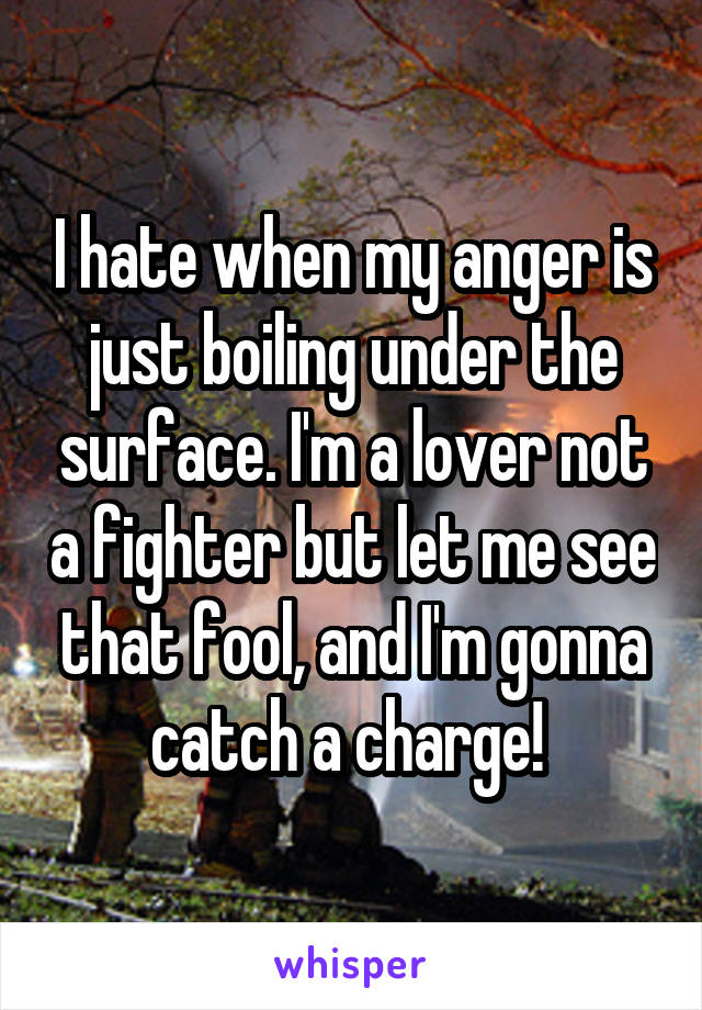 I hate when my anger is just boiling under the surface. I'm a lover not a fighter but let me see that fool, and I'm gonna catch a charge! 