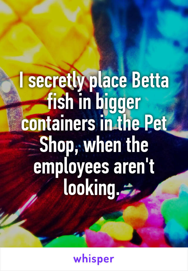 I secretly place Betta fish in bigger containers in the Pet Shop, when the employees aren't looking. 