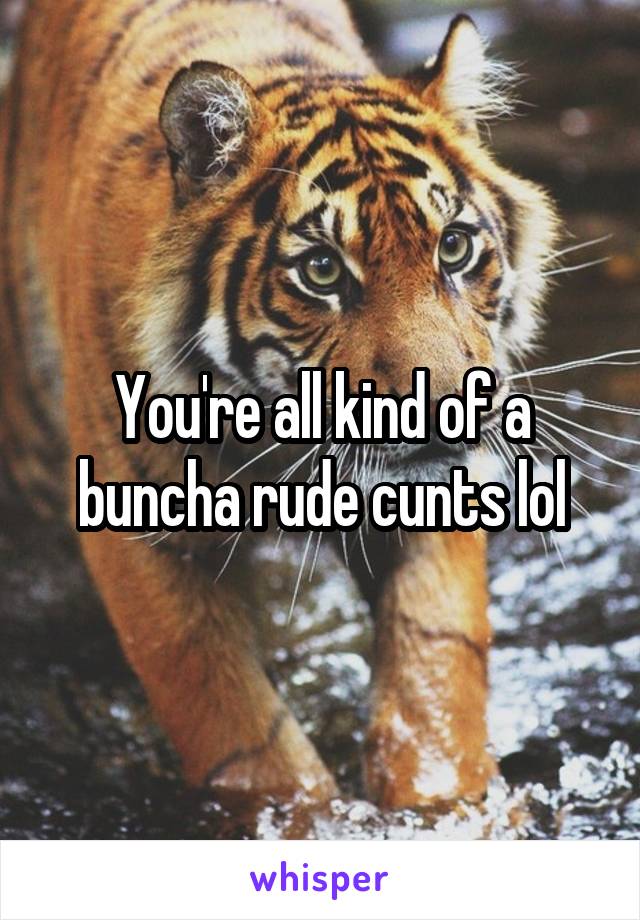 You're all kind of a buncha rude cunts lol