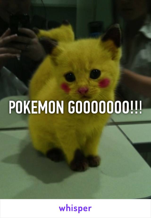 POKEMON GOOOOOOO!!!