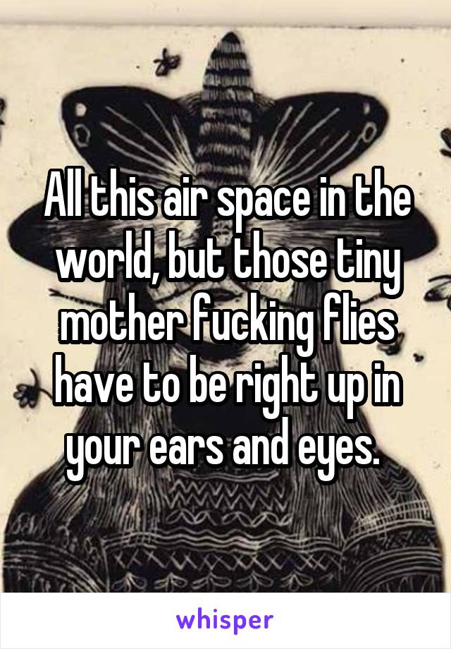 All this air space in the world, but those tiny mother fucking flies have to be right up in your ears and eyes. 