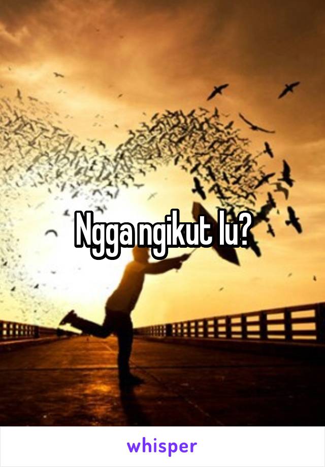 Ngga ngikut lu?