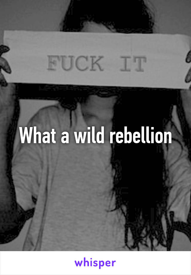 What a wild rebellion