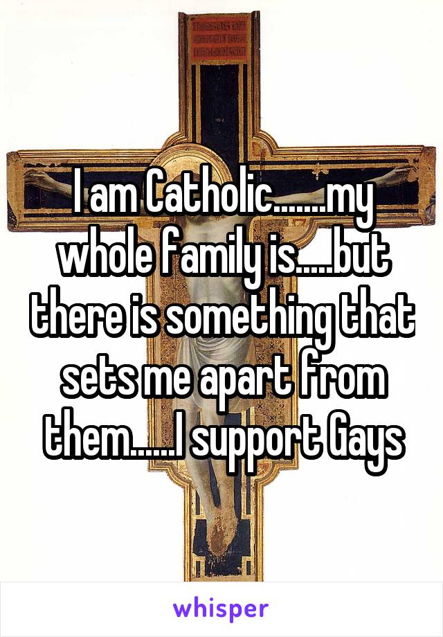 I am Catholic.......my whole family is.....but there is something that sets me apart from them......I support Gays