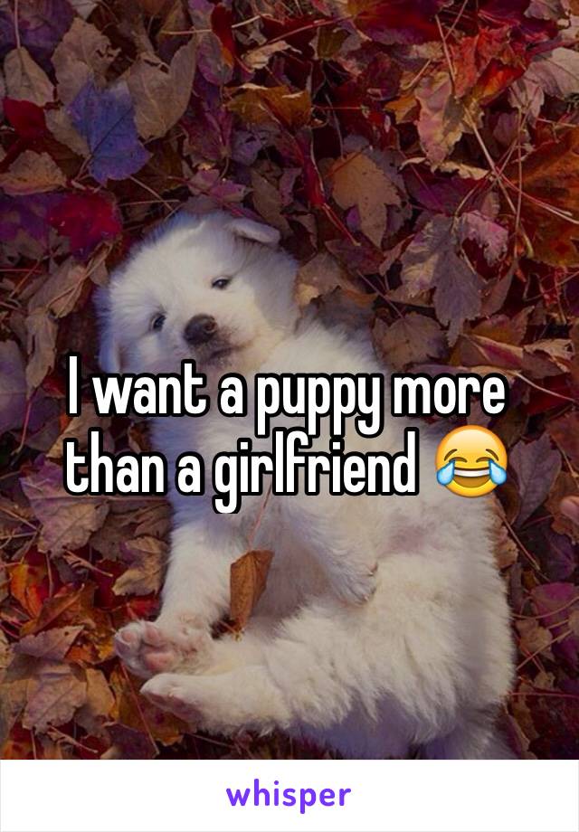 I want a puppy more than a girlfriend 😂