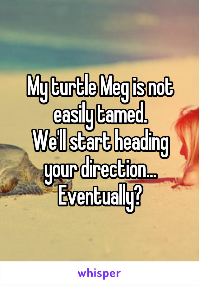 My turtle Meg is not easily tamed.
We'll start heading your direction... Eventually?