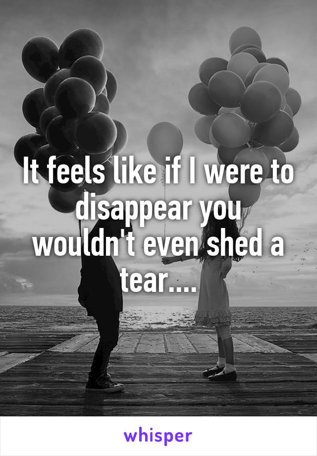 It feels like if I were to disappear you wouldn't even shed a tear....