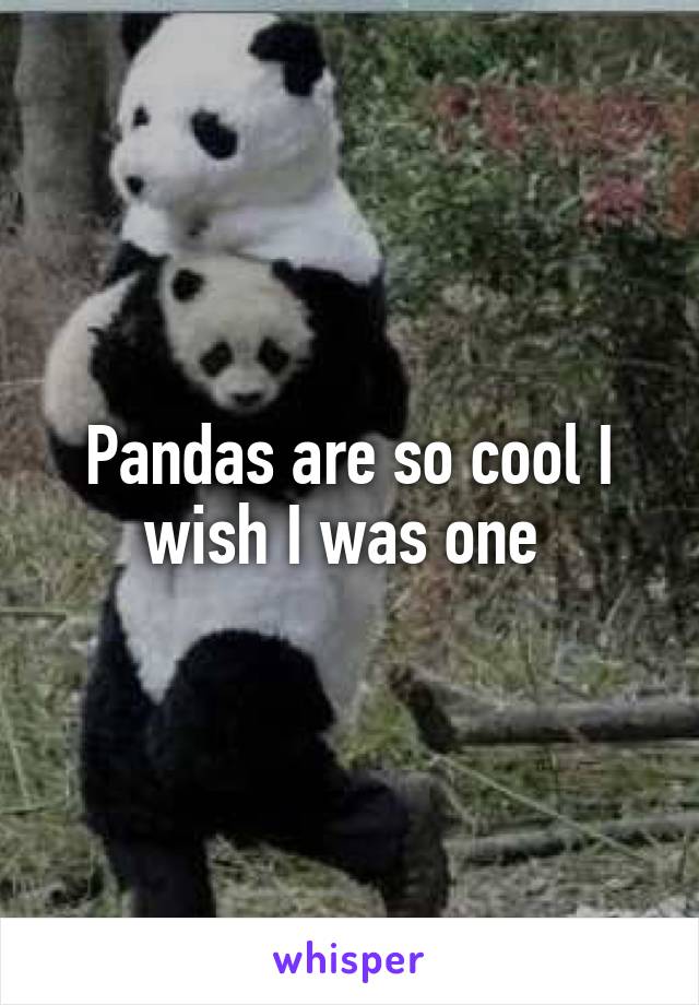 Pandas are so cool I wish I was one 