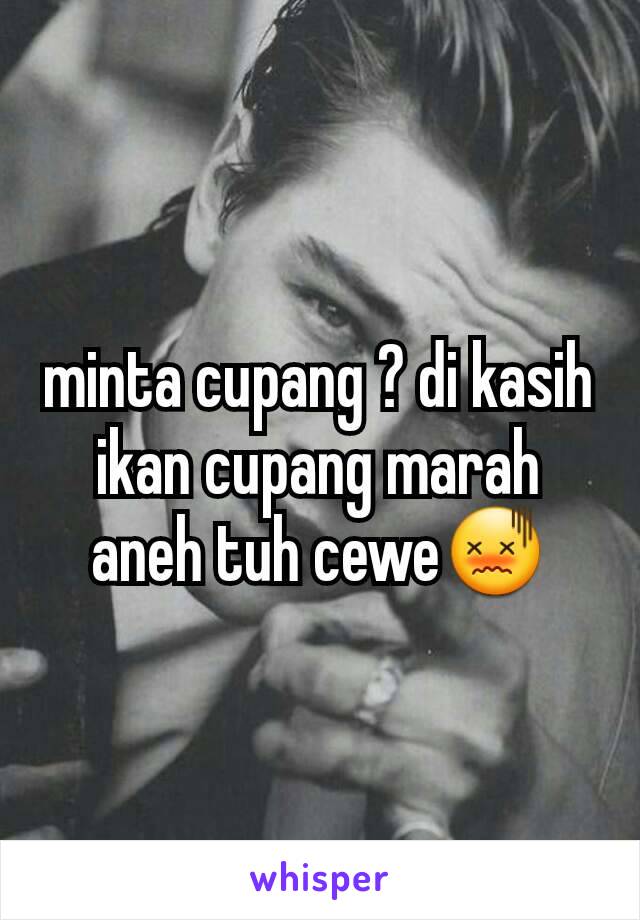 minta cupang ? di kasih ikan cupang marah aneh tuh cewe😖