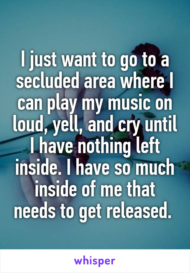 I just want to go to a secluded area where I can play my music on loud, yell, and cry until I have nothing left inside. I have so much inside of me that needs to get released. 