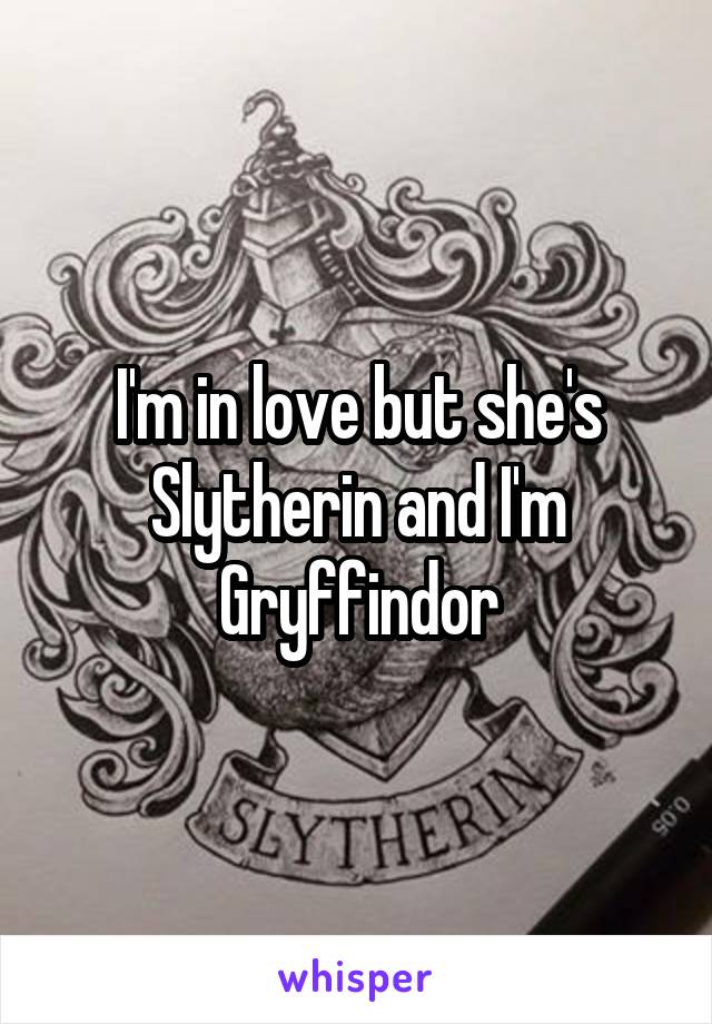 I'm in love but she's Slytherin and I'm Gryffindor