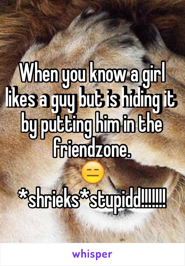 When you know a girl likes a guy but is hiding it by putting him in the friendzone. 
😑*shrieks*stupidd!!!!!!!