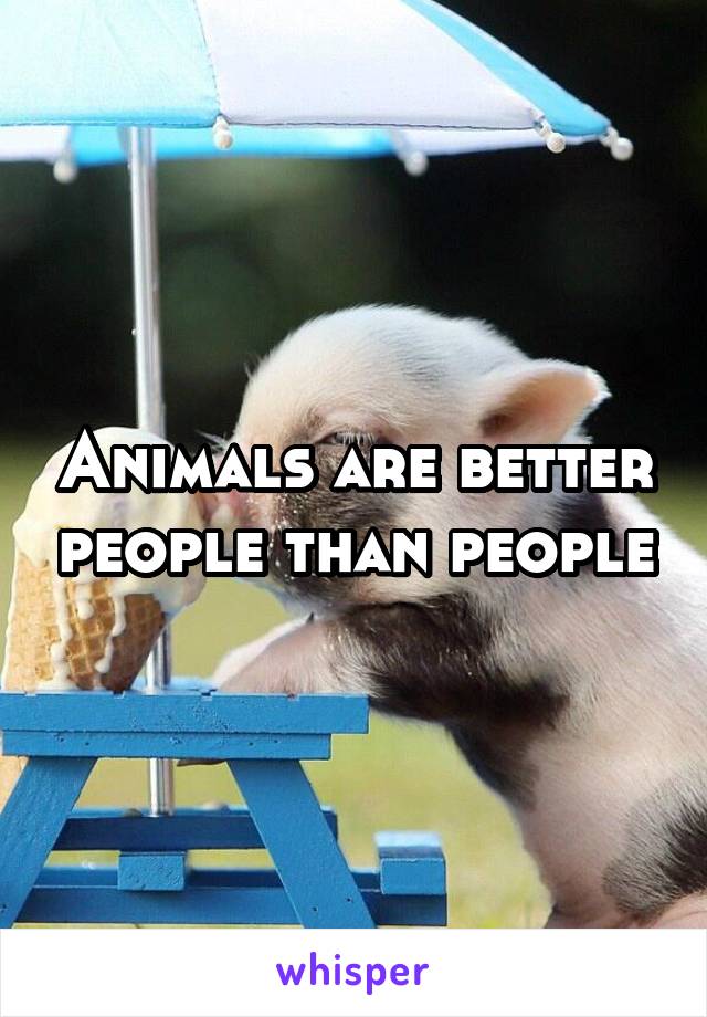 Animals are better people than people