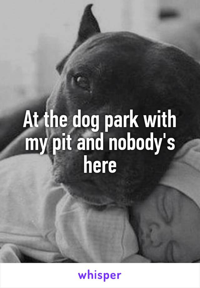 At the dog park with my pit and nobody's here