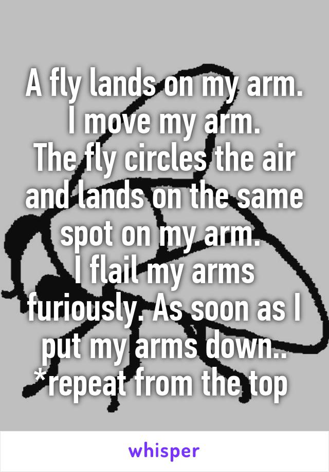 A fly lands on my arm.
I move my arm.
The fly circles the air and lands on the same spot on my arm. 
I flail my arms furiously. As soon as I put my arms down..
*repeat from the top 