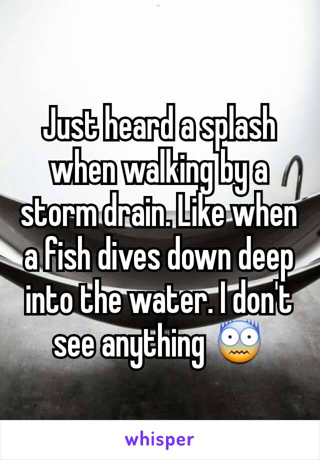 Just heard a splash when walking by a storm drain. Like when a fish dives down deep into the water. I don't see anything 😨