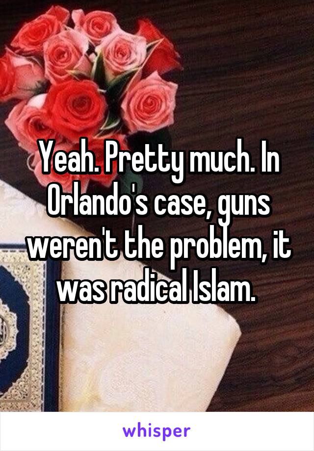 Yeah. Pretty much. In Orlando's case, guns weren't the problem, it was radical Islam. 