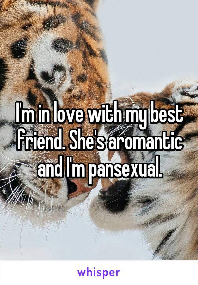 I'm in love with my best friend. She's aromantic and I'm pansexual.