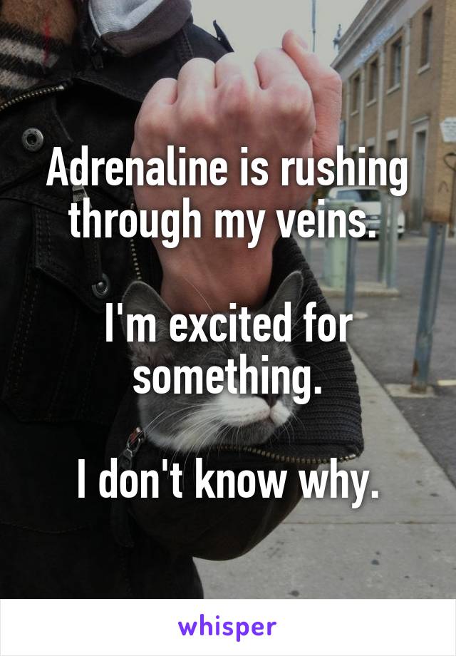 Adrenaline is rushing through my veins. 

I'm excited for something.

I don't know why.