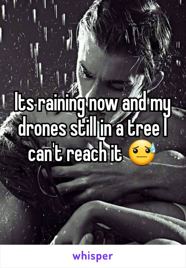 Its raining now and my drones still in a tree I can't reach it 😓