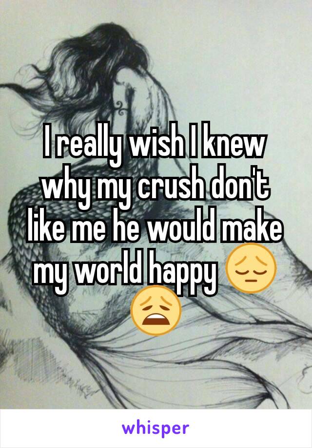 I really wish I knew why my crush don't like me he would make my world happy 😔😩